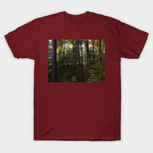 Dark forest T-Shirt